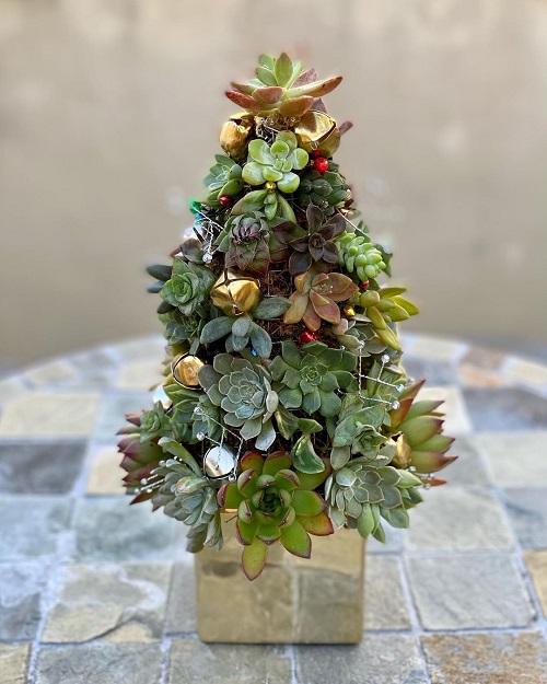 Succulent Christmas Tree Ideas 17