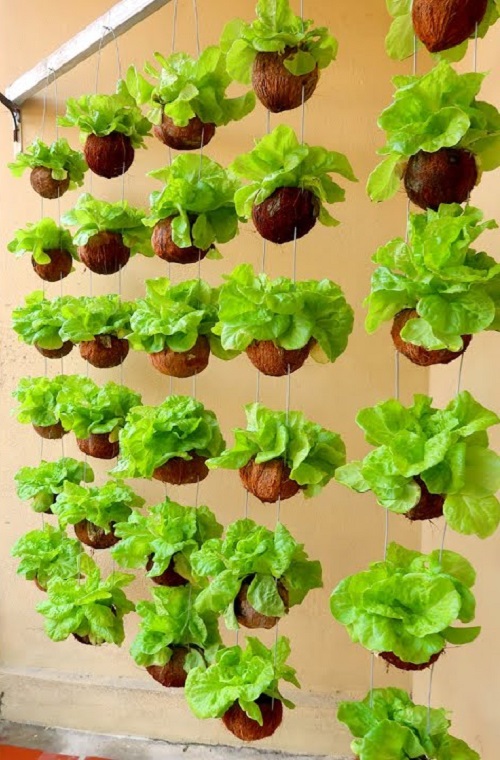 DIY Vertical Lettuce Garden Ideas 5