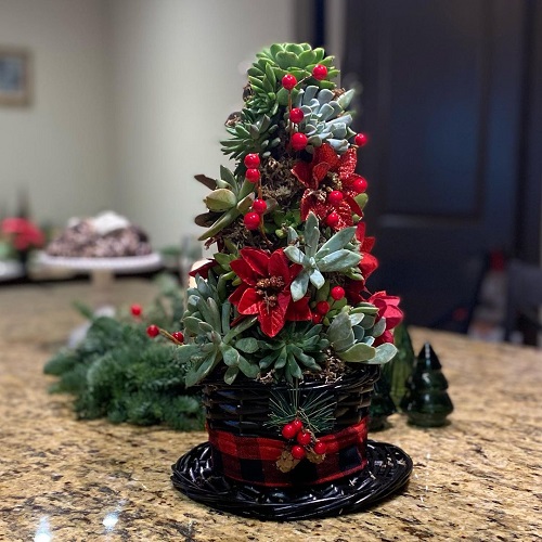Succulent Christmas Tree Ideas 8