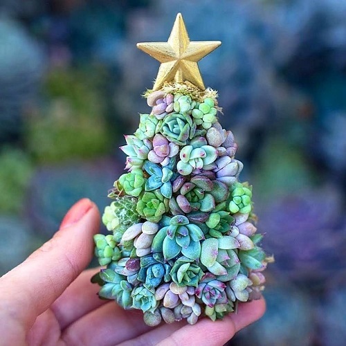 Succulent Christmas Tree Ideas 6