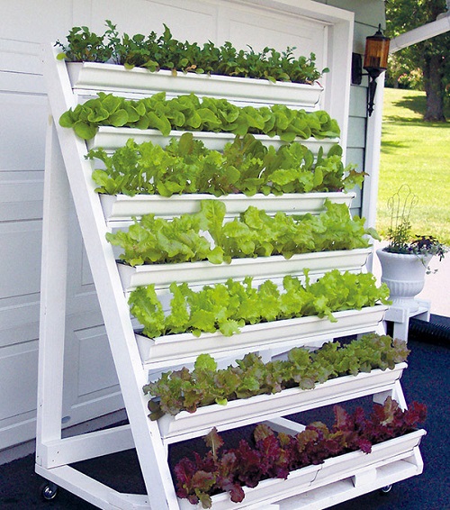 DIY Vertical Lettuce Garden Ideas 1