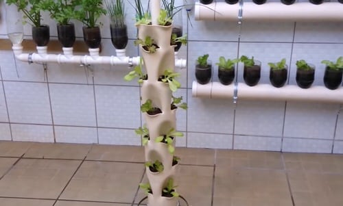 DIY Vertical Lettuce Garden Ideas 4