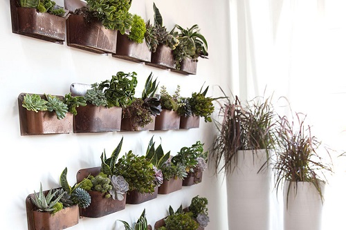 35+ Indoor Plant Wall Decor Ideas 11