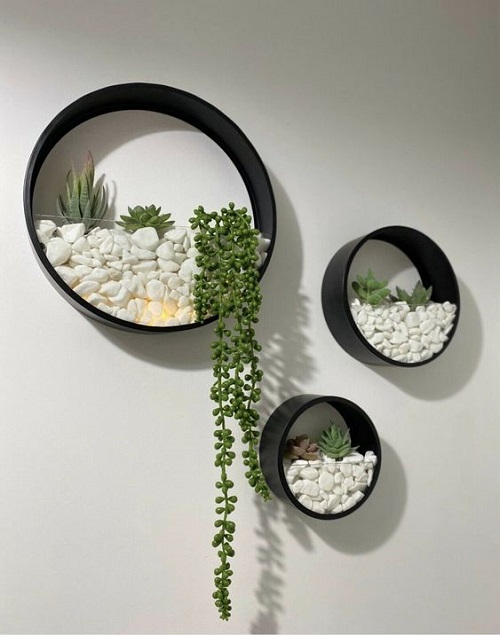 35+ Indoor Plant Wall Decor Ideas 9