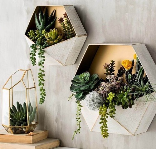 Indoor Plant Wall Decor Ideas 3