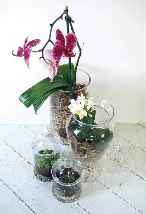 Orchid Planter Ideas 11