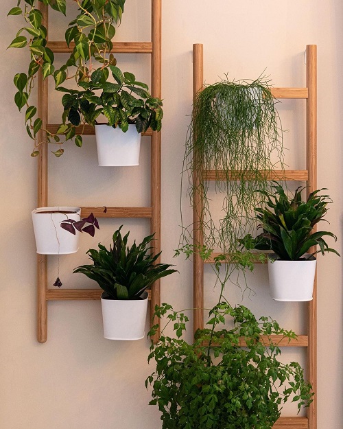  Indoor Plant Wall Decor Ideas 4