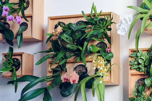 Orchid Planter Ideas 7