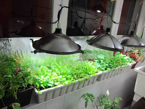 DIY Indoor Greenhouse Ideas for Apartment Gardens 12