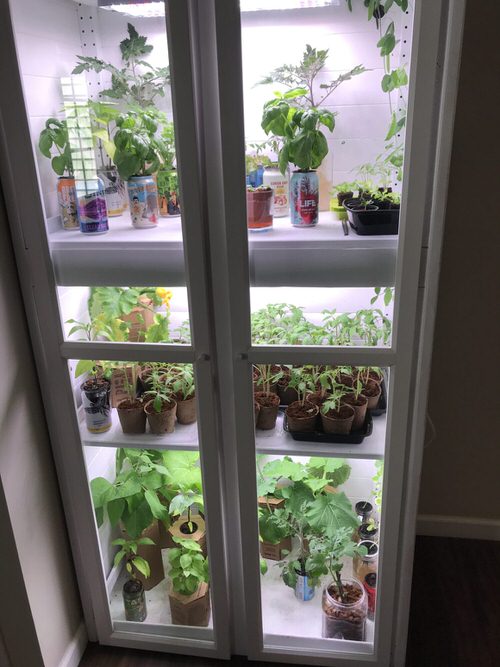 Indoor Greenhouse Cabinet