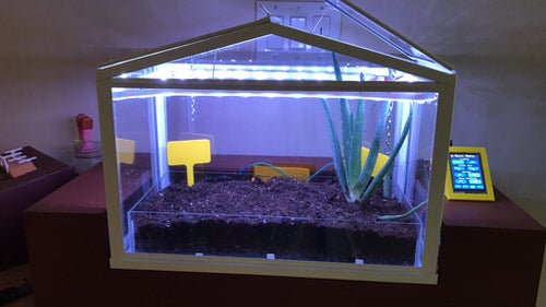 DIY Indoor Greenhouse Ideas for Apartment Gardens 5
