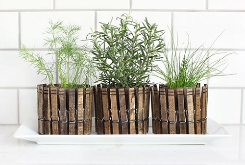 Container Ideas For Herb Gardens 3