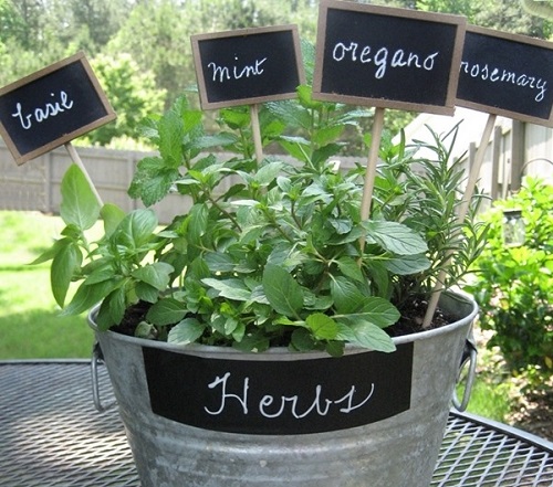 Container Ideas For Herb Gardens 1