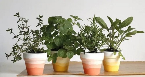 Stunning DIY Flower Pot Ideas 6