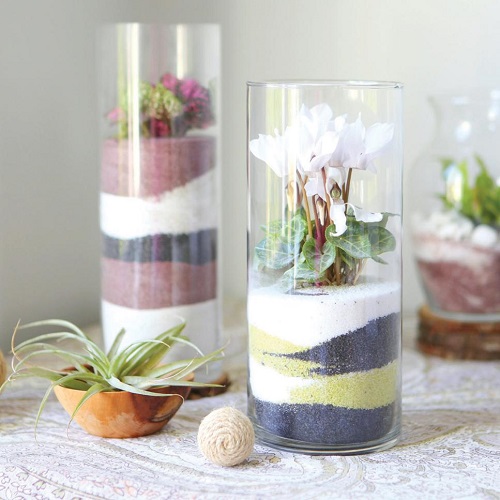 DIY Sand Art Terrarium