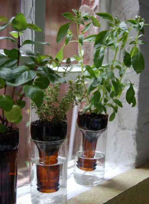 Container Ideas For Herb Gardens 5