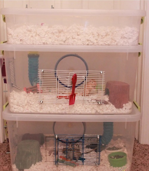 DIY Hamster Cage 1