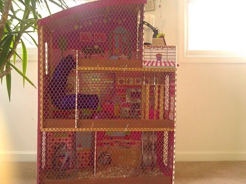 DIY Hamster Cage 2