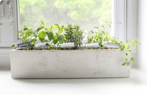 Low-budget and Easy Container Ideas For Herb Garden 15