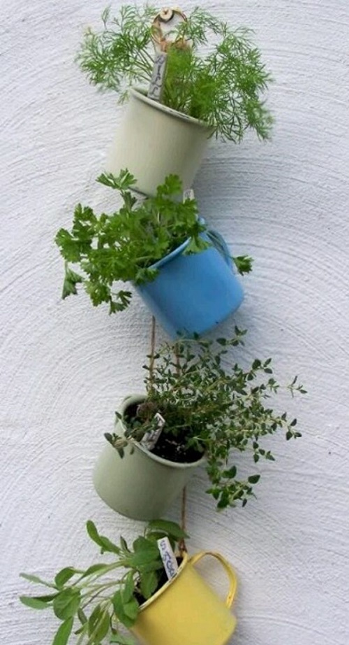 Container Ideas For Herb Gardens 7