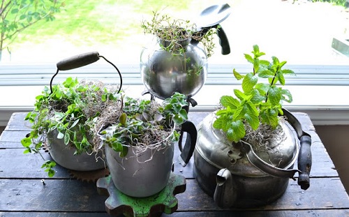 Container Ideas For Herb Gardens 8