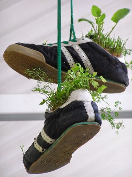 Container Ideas For Herb Gardens 9
