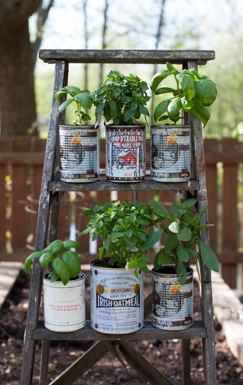 Container Ideas For Herb Gardens 2