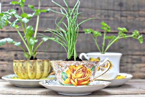 Low-budget and Easy Container Ideas For Herb Garden 10