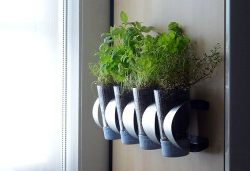 Container Ideas For Herb Gardens 4