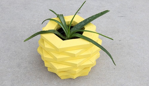 Stunning DIY Flower Pot Ideas 3