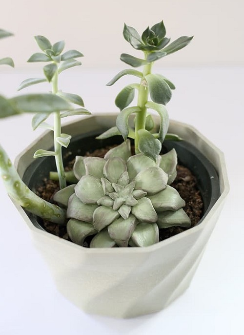 Homemade Faux Succulent
