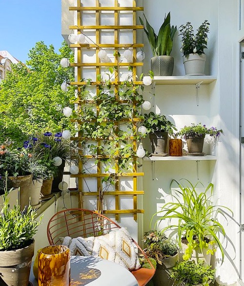 DIY Trellis Ideas for Balcony Gardens 5