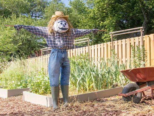 DIY Garden Scarecrow Ideas 1