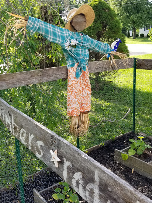 DIY Garden Scarecrow Ideas 7