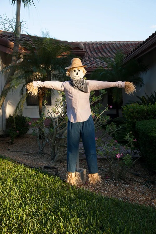 DIY Garden Scarecrow Ideas 3