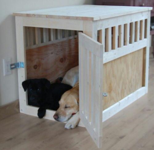 Indoor Dog House Ideas 7