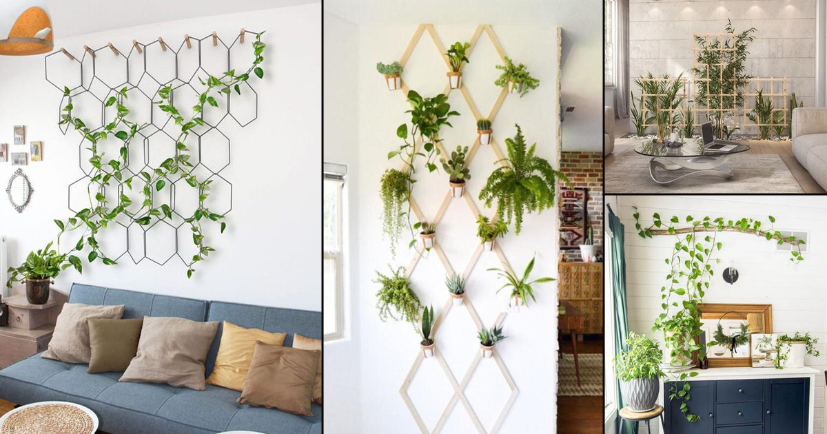 15 Best Indoor Wall Trellis Ideas That You Must Copy O Lidy - Indoor Ivy Wall Diy