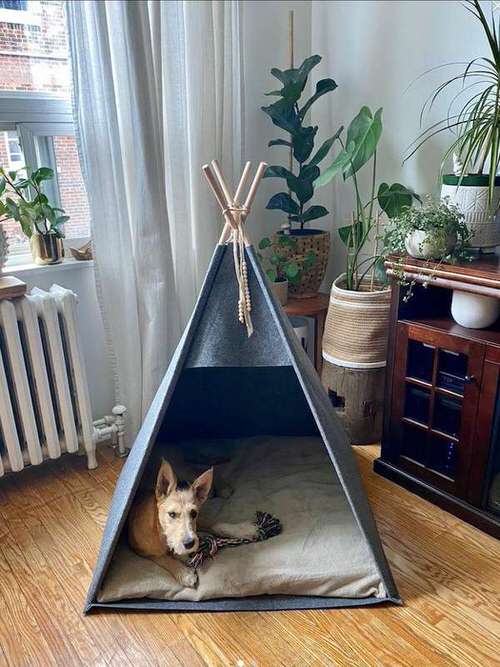 Indoor Dog House Ideas 2