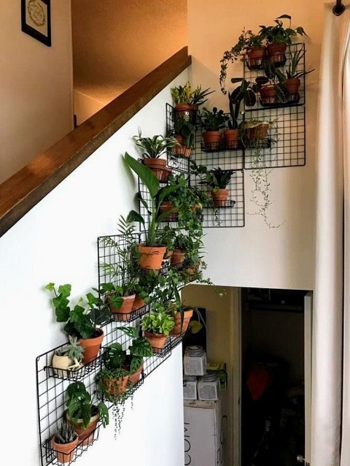 35+ Indoor Plant Wall Decor Ideas 18