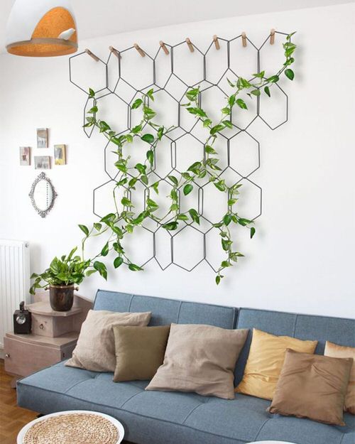 Indoor Wall Trellis Ideas 11