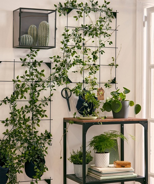 35+ Indoor Plant Wall Decor Ideas 19