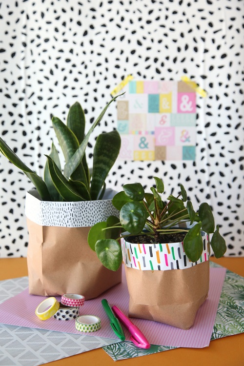 Wrapped Potted Plant Centerpieces and Gift Ideas 5