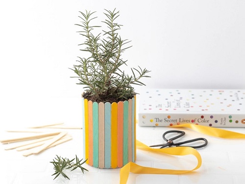Wrapped Potted Plant Centerpieces and Gift Ideas 17