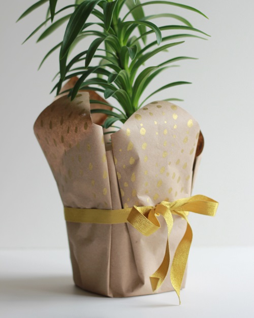 Wrapped Potted Plant Centerpieces and Gift Ideas 19