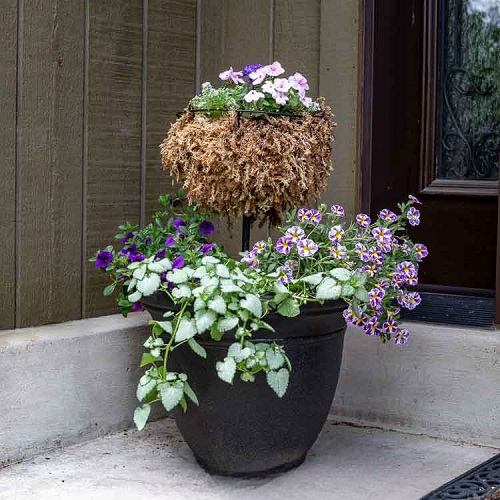 Inexpensive Tiered Planter