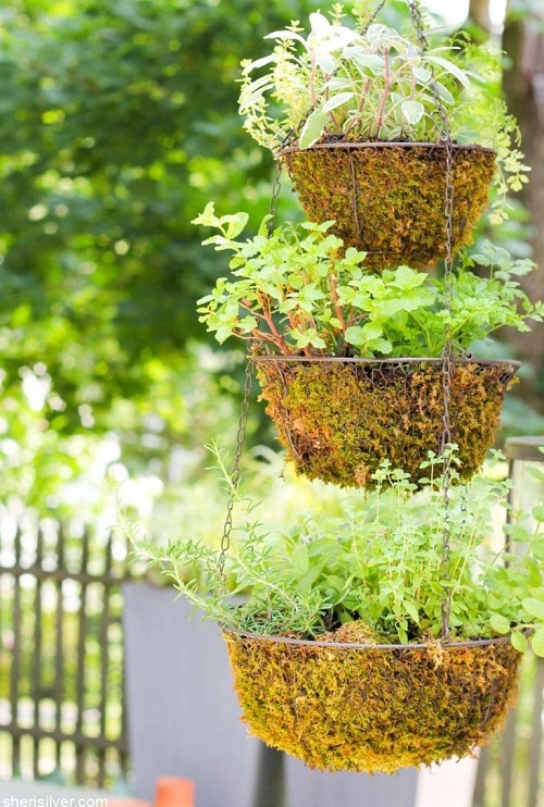 Tiered Wire Basket Herb Container