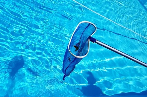 How to Keep Spiders Out of the Pool 4