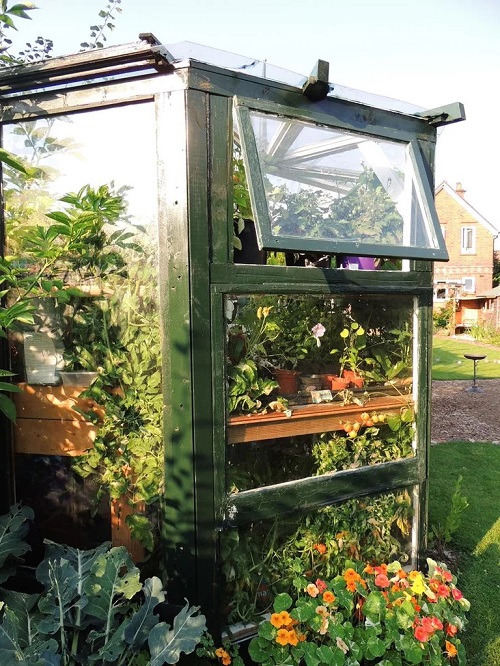 DIY Pallet Greenhouse Ideas 2