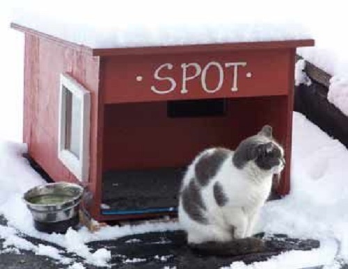 DIY Outdoor Cat House Ideas 7