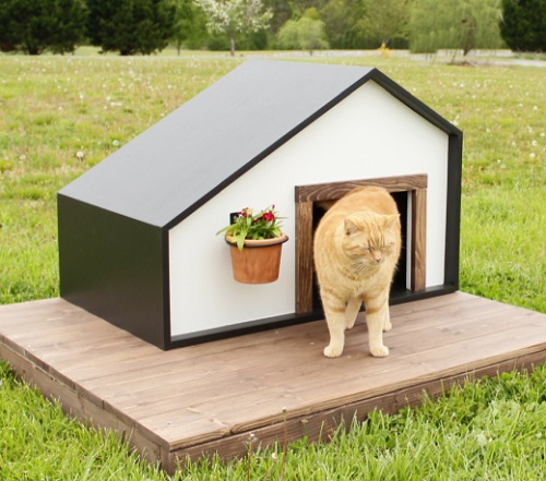 Cat House With Planter
